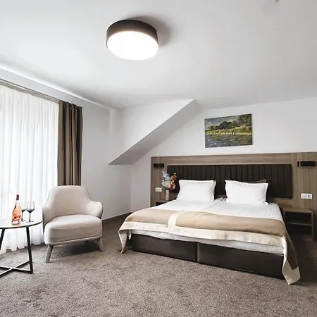 Pensiune Evelin Deluxe House 4*