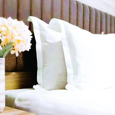 Evelin Deluxe House 4* Plovdiv